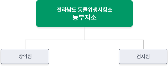 동부지소 : 방역팀, 검사팀